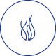 青春能量藻